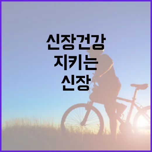 신장 건강을 지키는 음식 선택 방법 - 요약