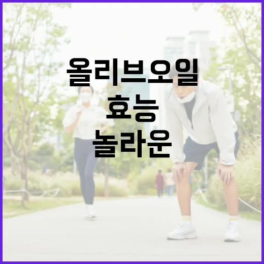 올리브오일의 놀라운 효능을 극대화하는 방법 - 요약