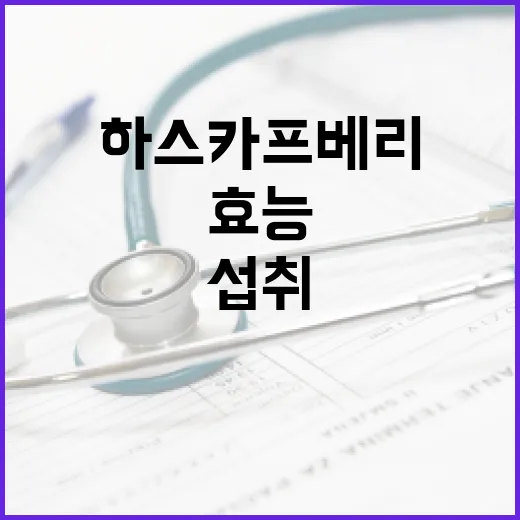 하스카프베리의 효능과 섭취 방법 - 요약