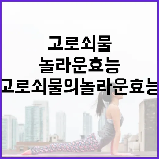 고로쇠물의 놀라운 …