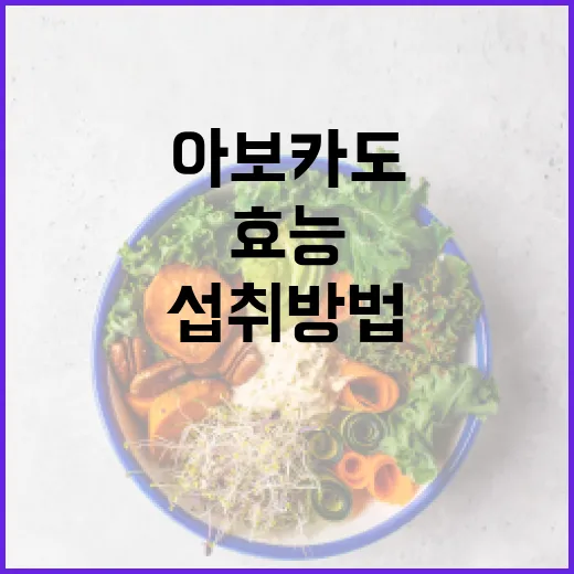 아보카도의 건강 효능과 섭취 방법 - 요약