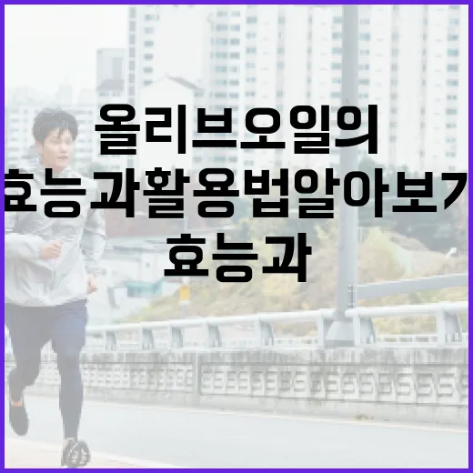 올리브오일의 놀라운 효능과 활용법 알아보기 - 요약