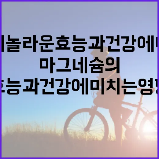 마그네슘의 놀라운 효능과 건강에 미치는 영향 이해하기 - 요약