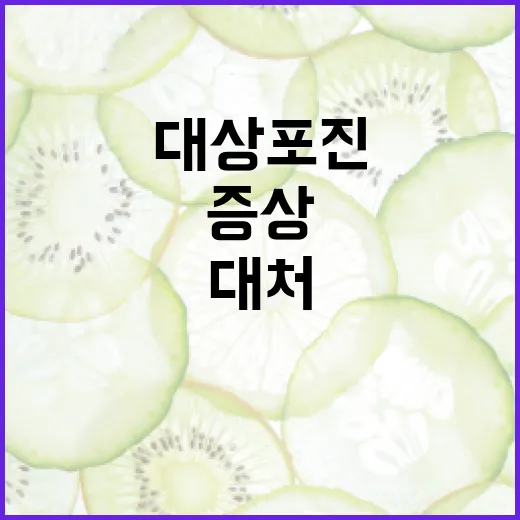대상포진 증상을 이해하고 적절히 대처하는 방법 - 요약