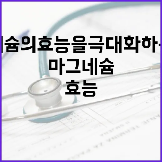 마그네슘의 효능을 극대화하는 방법 - 요약