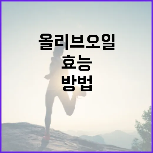 올리브오일의 효능을 최대화하는 방법 - 요약