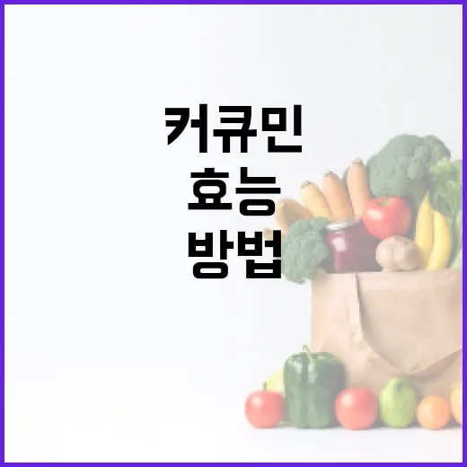 커큐민 효능을 극대화하는 방법 - 요약