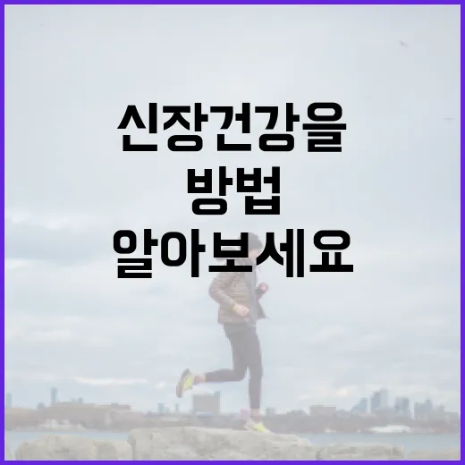 신장 건강을 유지하는 방법: 신장에 좋은 음식을 알아보세요 - 요약