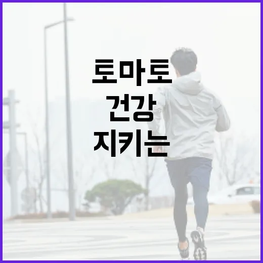 토마토 섭취로 건강…