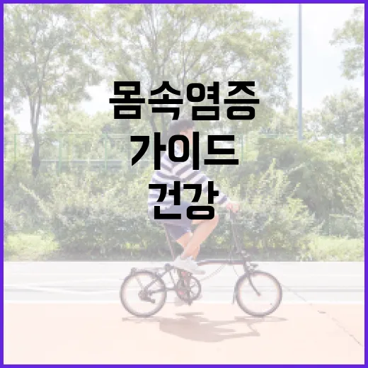 몸속 염증을 줄이는 방법: 건강을 지키는 실천 가이드 - 요약