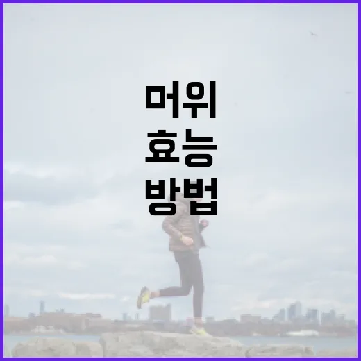 머위의 효능을 극대화하는 방법 - 요약