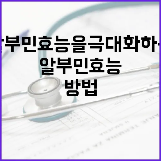 알부민 효능을 극대화하는 방법 - 요약