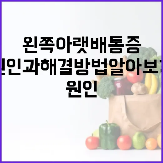 왼쪽 아랫배 통증의 원인과 해결 방법 알아보기 - 요약