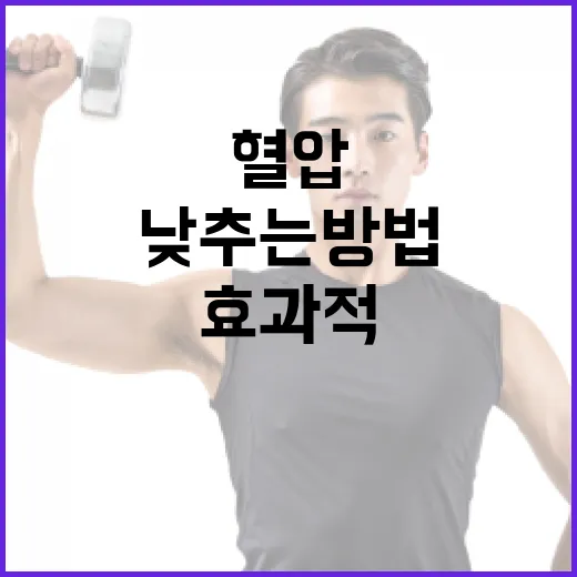 혈압을 효과적으로 낮추는 방법 - 요약