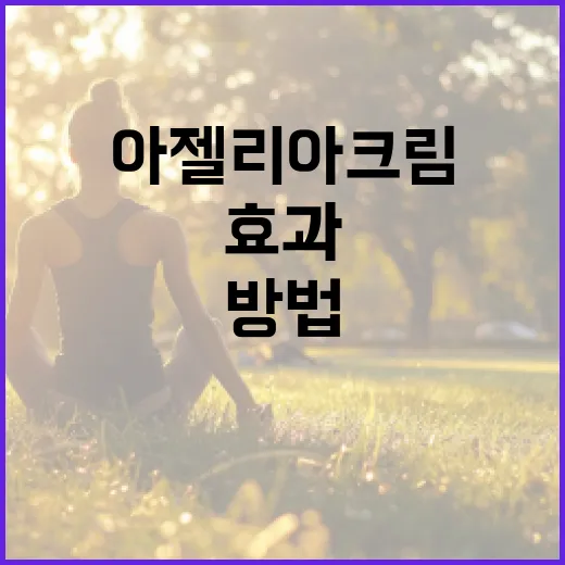 아젤리아크림의 효과와 사용 방법 - 요약