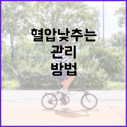 혈압 낮추는 방법: 건강하게 관리하는 법 - 요약