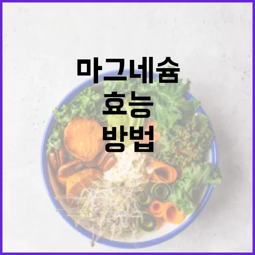 마그네슘 효능 알아보기: 건강을 향상시키는 방법 - 요약