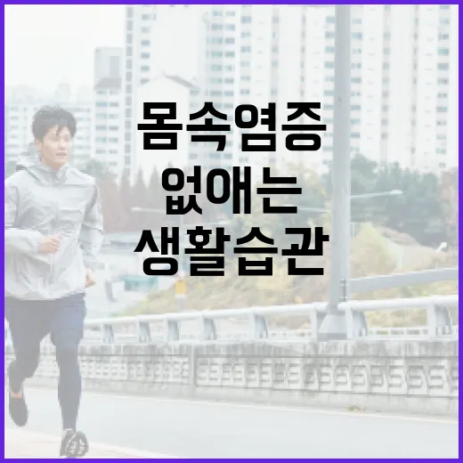 몸속 염증을 없애는 방법: 건강한 생활습관으로 염증 관리하기 - 요약