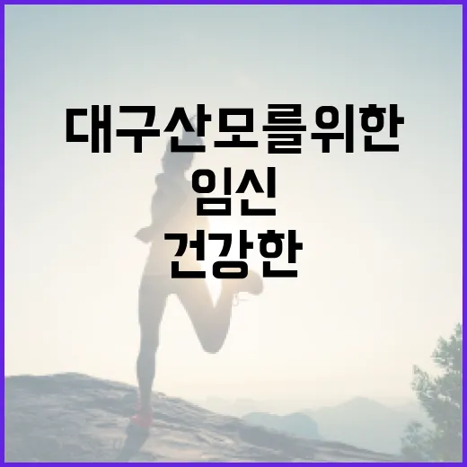 대구 산모를 위한 …