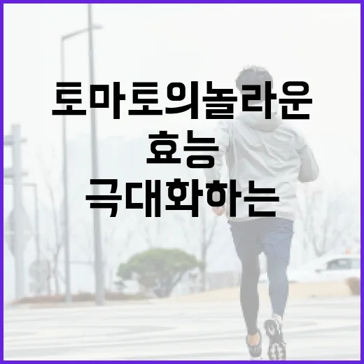 토마토의 놀라운 건강 효능을 극대화하는 방법 - 요약