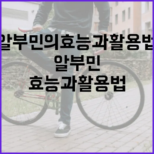 알부민의 효능과 활…