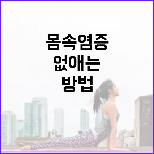 몸속 염증을 효과적…