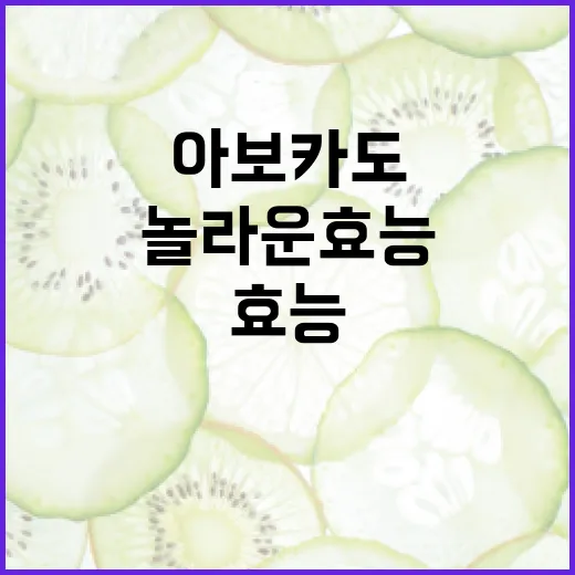 아보카도의 놀라운 효능을 아는 방법 - 요약