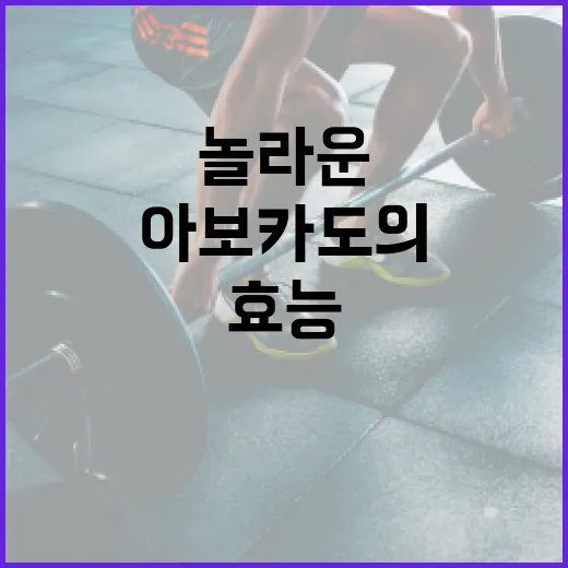 아보카도의 놀라운 건강 효능을 극대화하는 방법 - 요약