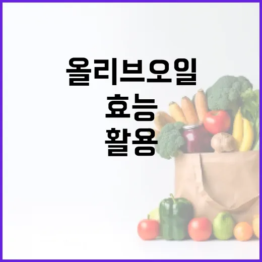 올리브오일 효능을 최대한 활용하는 방법 - 요약