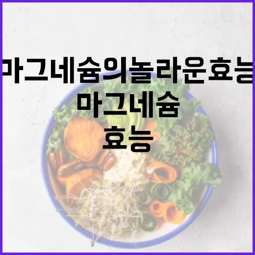 마그네슘의 놀라운 …