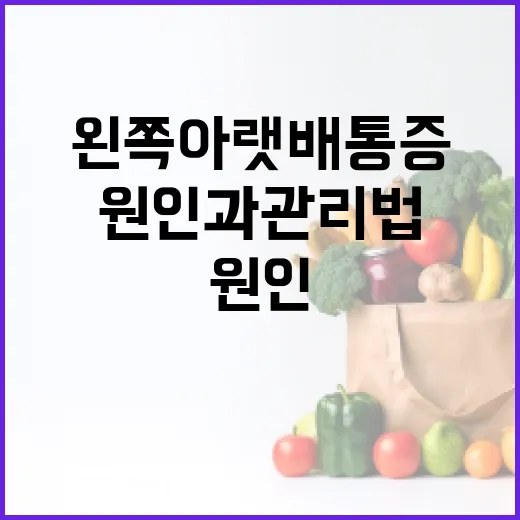 왼쪽 아랫배 통증을 해결하는 방법: 원인과 관리법 - 요약