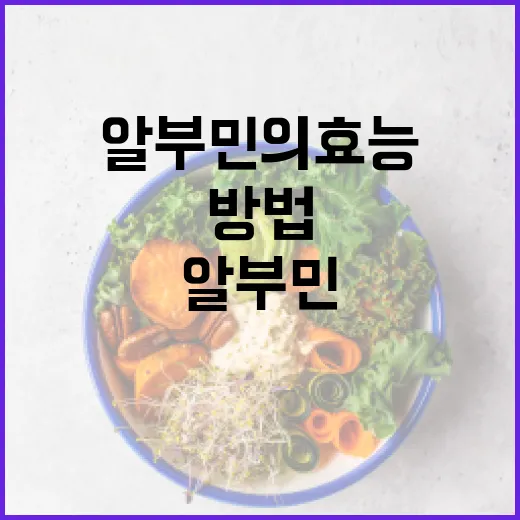 알부민의 효능을 극대화하는 방법 - 요약