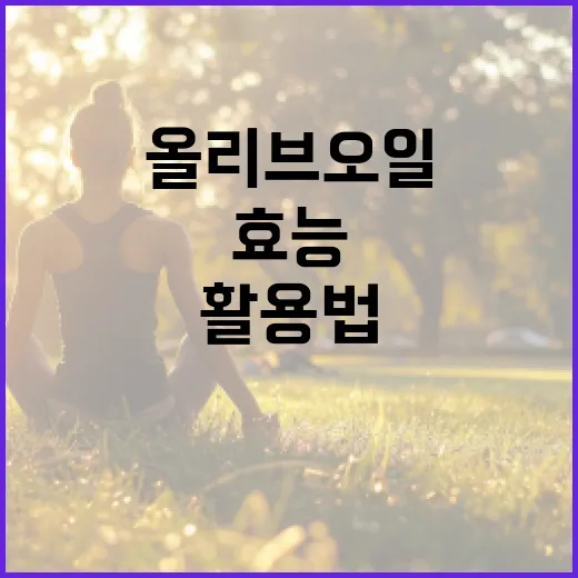 올리브오일의 다양한 효능과 활용법 - 요약