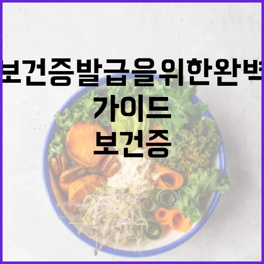 보건증 발급을 위한 완벽한 가이드 - 요약