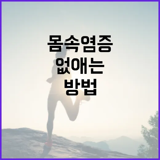 몸속 염증을 없애는 방법: 건강한 생활을 위한 가이드 - 요약