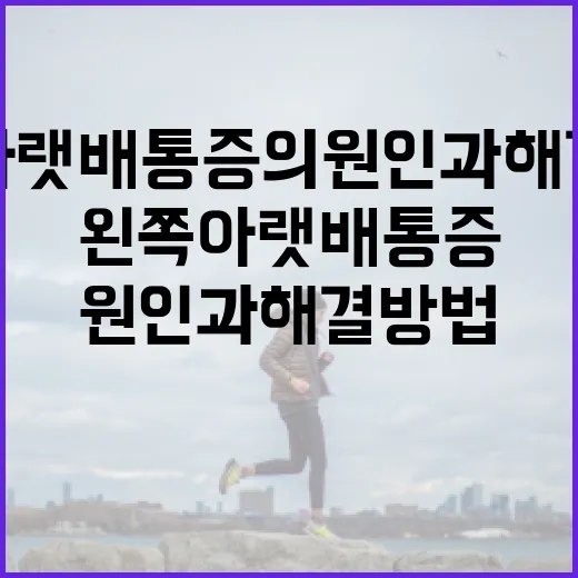 왼쪽 아랫배 통증의 원인과 해결 방법 - 요약