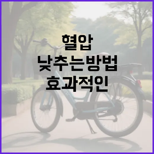 혈압을 낮추는 방법: 효과적인 습관과 생활 변화 - 요약