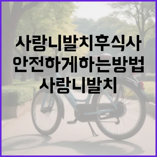 사랑니 발치 후 식사를 안전하게 하는 방법 - 요약