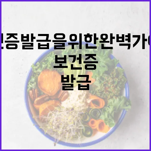 보건증 발급을 위한 완벽 가이드 - 요약