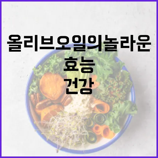 올리브오일의 놀라운 건강 효능을 이해하는 방법 - 요약