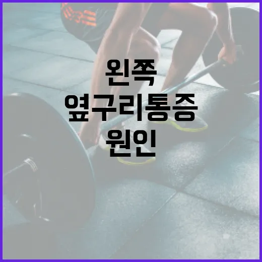 왼쪽 옆구리 통증을 완화하는 방법과 원인 파악하기 - 요약