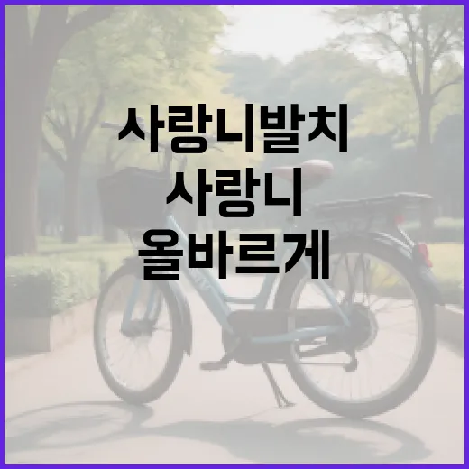 사랑니 발치 후 올바르게 식사하는 방법 - 요약