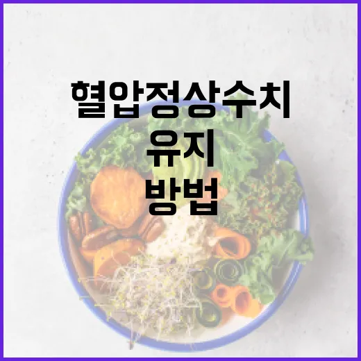 혈압 정상 수치를 유지하는 방법 - 요약