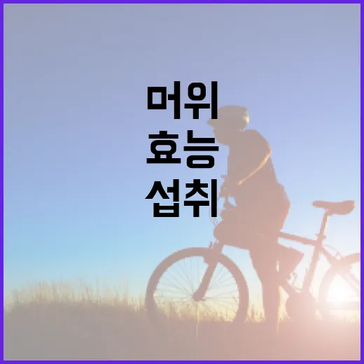 머위의 놀라운 효능과 건강하게 섭취하는 방법 - 요약