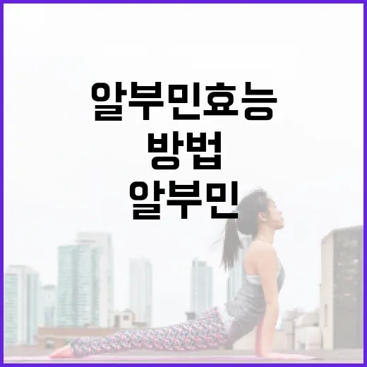 알부민 효능을 최대한 활용하는 방법 - 요약