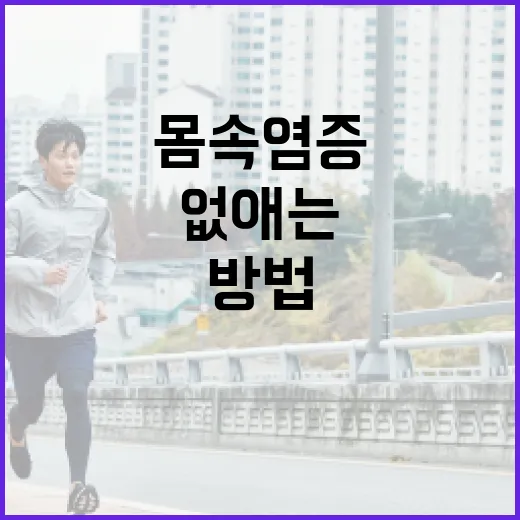 몸속 염증을 효과적으로 없애는 방법 - 요약