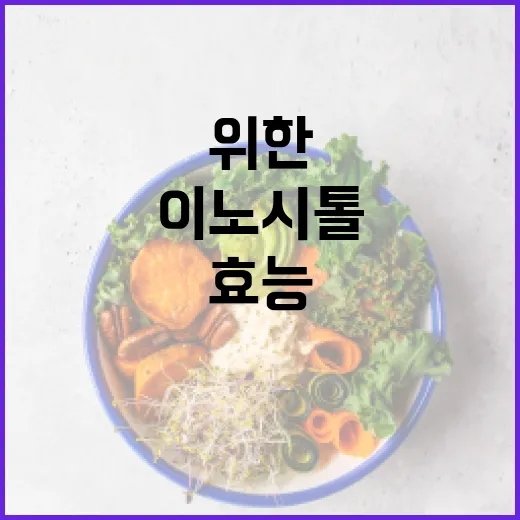 이노시톨의 효능: 건강을 위한 완전 가이드 - 요약