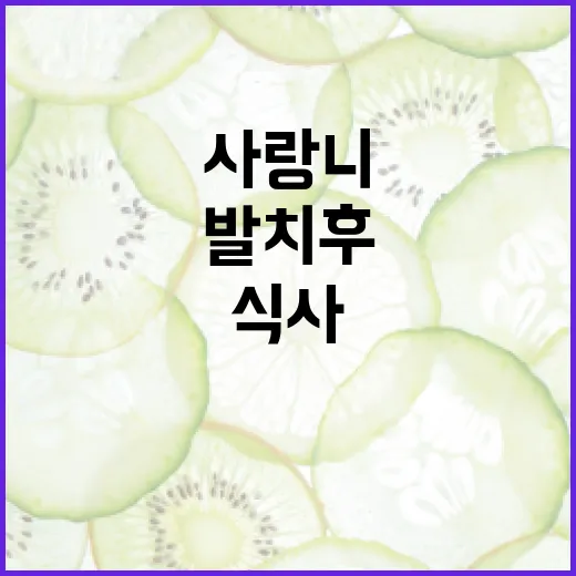 사랑니 발치 후 건강하게 식사하는 방법 - 요약