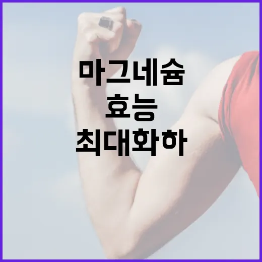 마그네슘 효능을 최대화하는 방법 - 요약