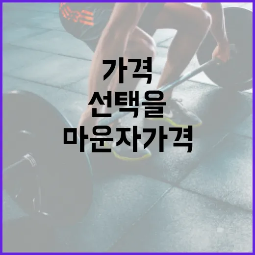 마운자 가격을 이해하고 최적의 선택을 하는 방법 - 요약